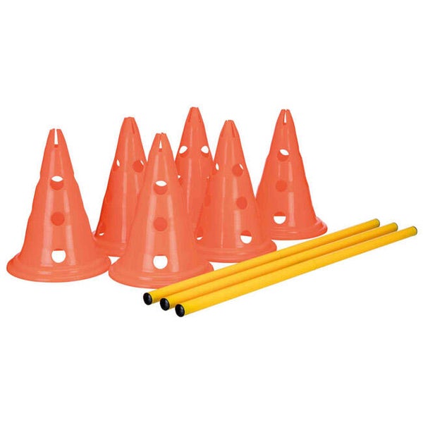 Pylonen-Hindernis-Set groß