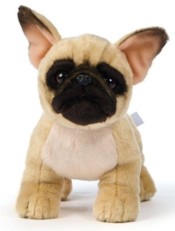 Französische Bulldogge beige mit Leine - 26 cm (Länge)