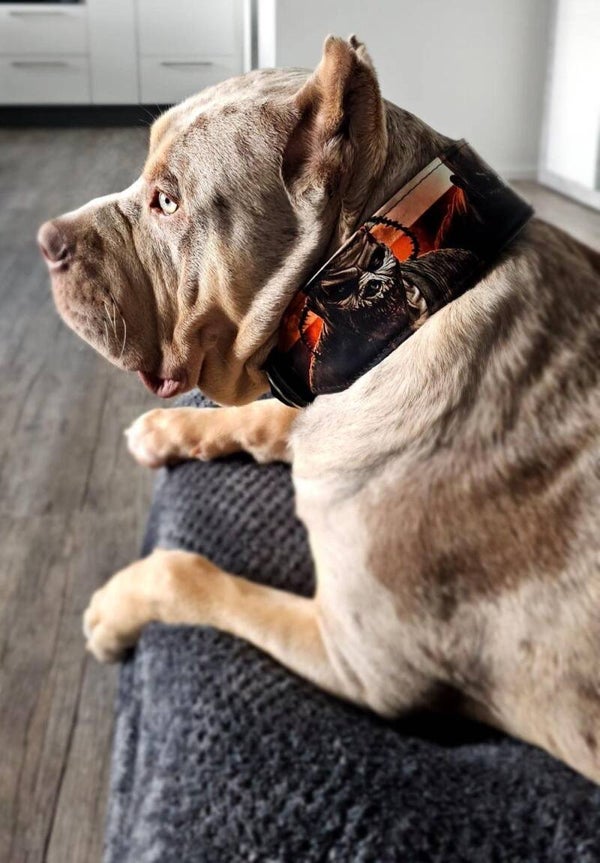 Die Scare Collar Limited