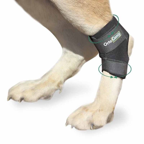 Sprunggelenkbandage für hunde