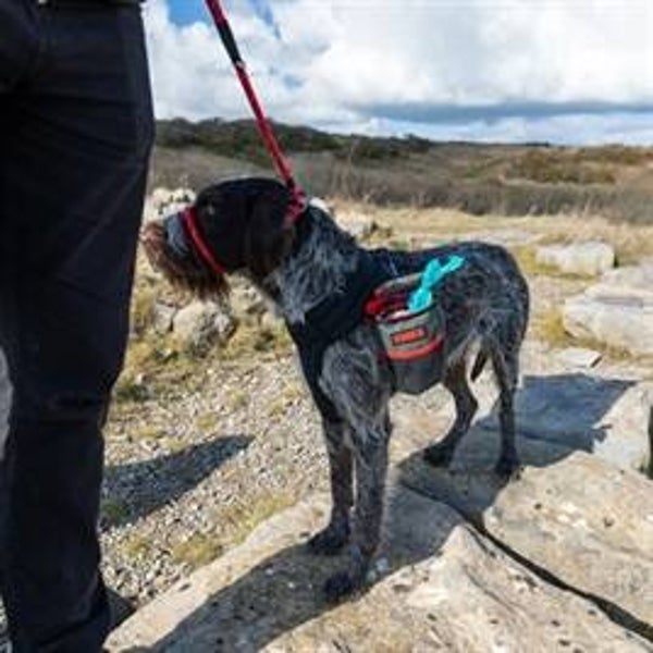 Kong Abholbeutel 12 x 12 x 19,5 cm