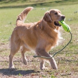 Kong Airdog Fetch Stick Mit Seil 81,5X6,5X6,5 CM
