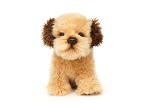 Shih Tzu Doodle Plüschtier -18 cm