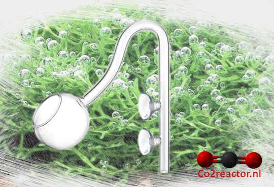 HS AQUA Glazen Uitstroombuis