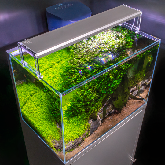 Skylight ENTRIQ LED-aquariumverlichting met WiFi controller