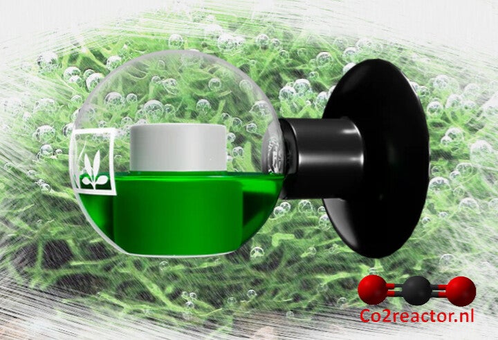 Dennerle Carbon Test Precision