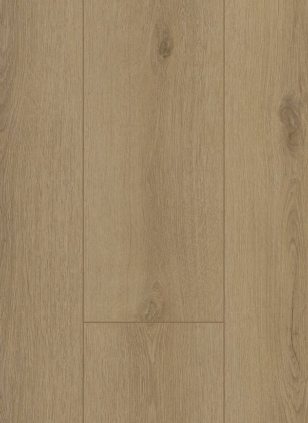 Firmfit 6501 (dryback) Sierra Beige