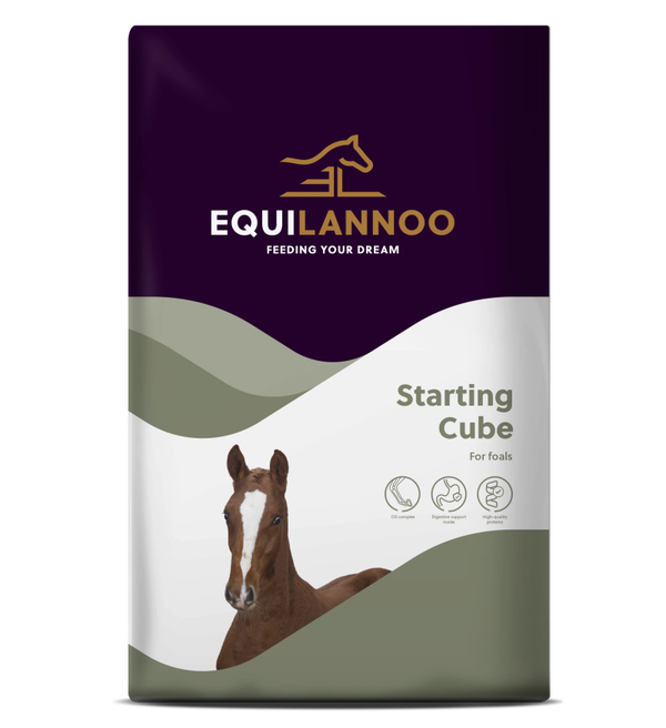 Starting Cube