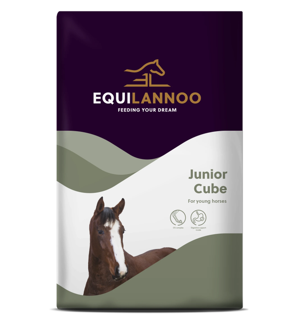 Junior Cube