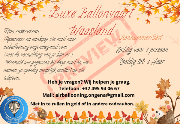 Luxe Ballonvaart Waasland