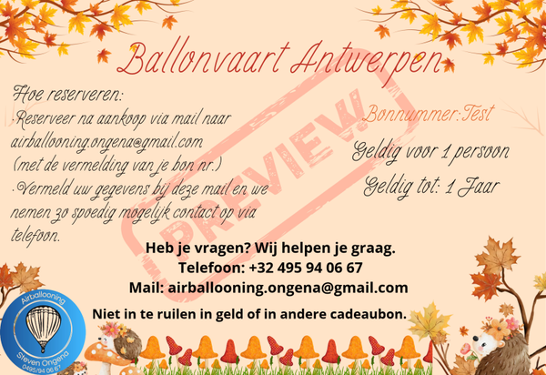 Ballonvaart Antwerpen