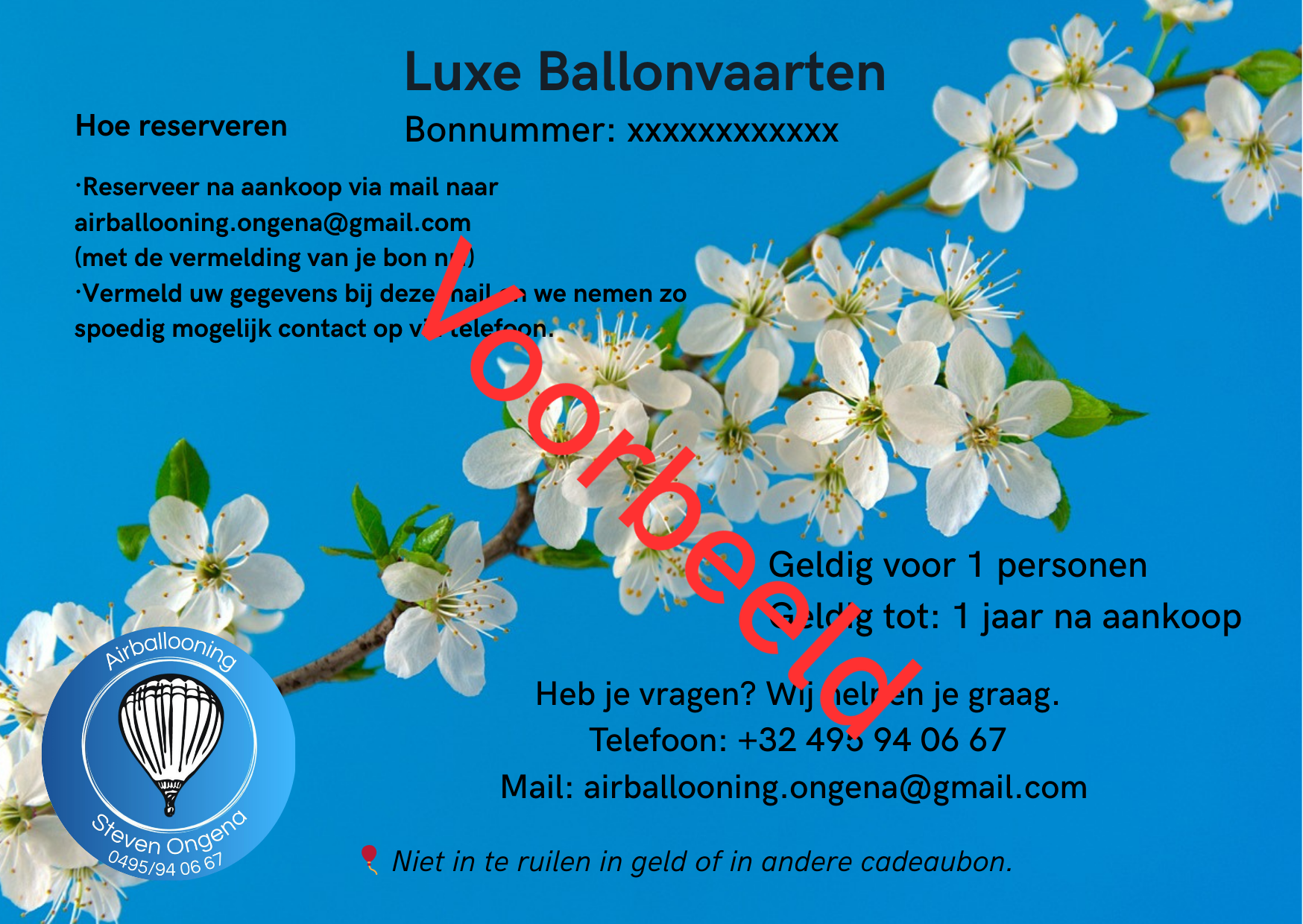 Luxe Ballonvaart Antwerpen