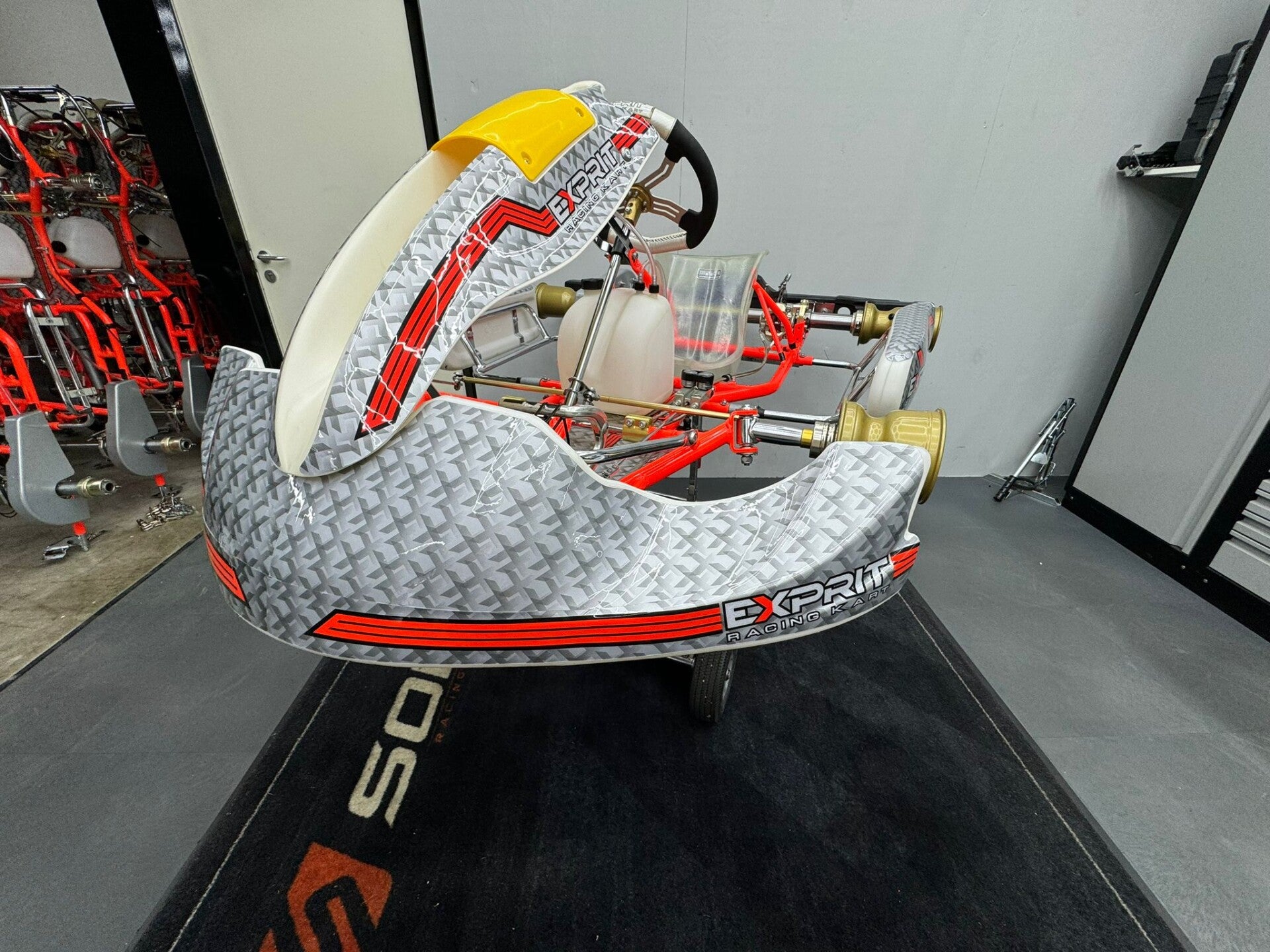 FOR SALE : EXPRIT KART ( used for 4 weekends) #16