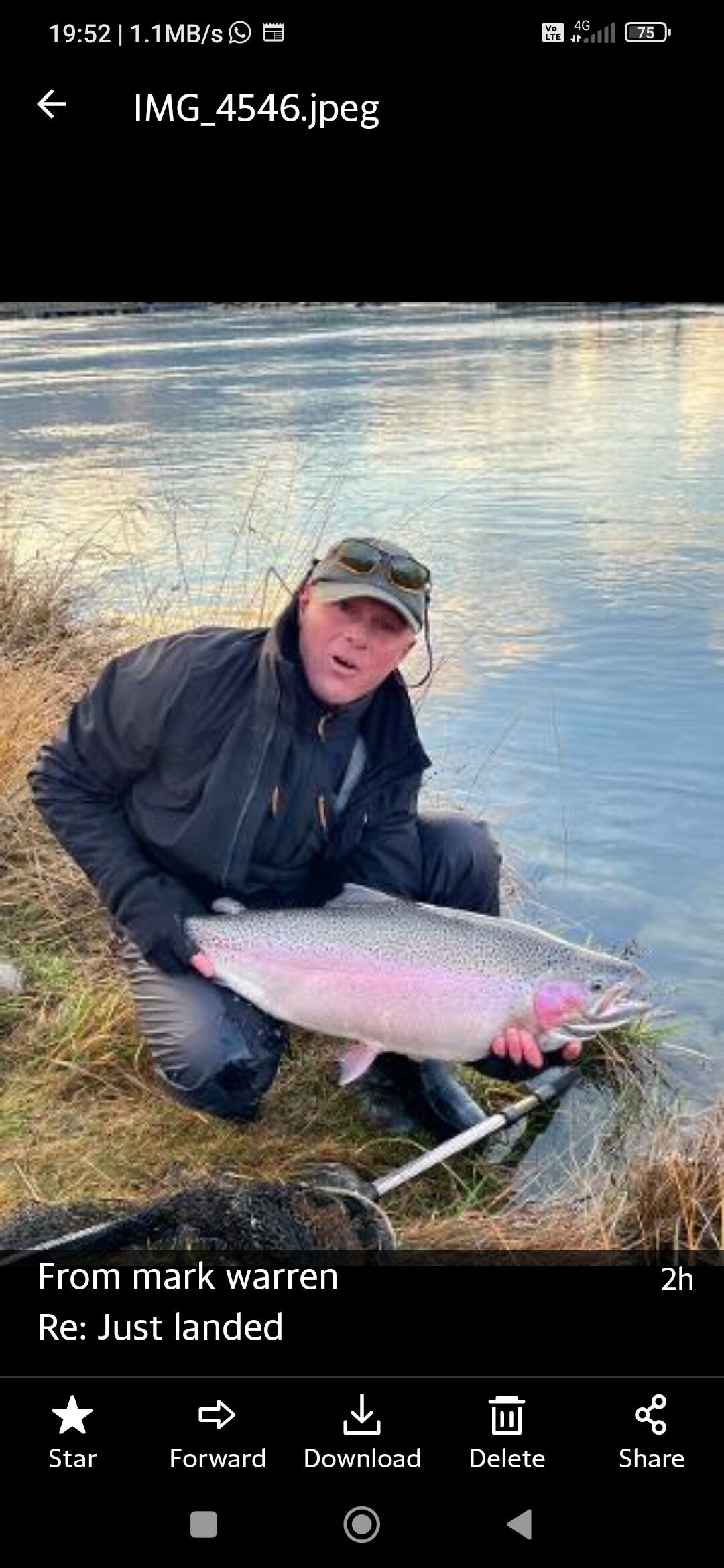 Trophy Twizel rainbow trout