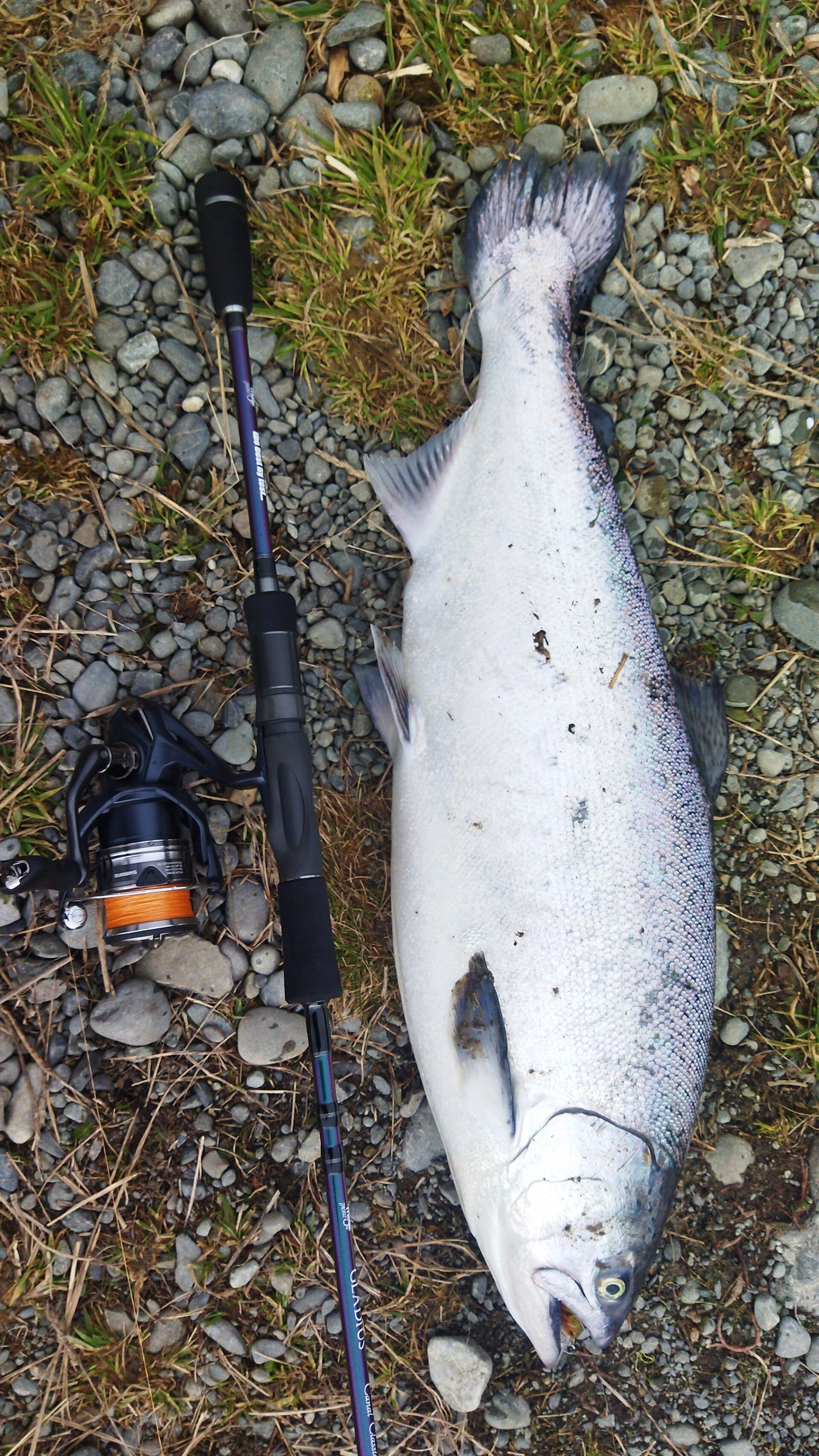 Trophy salmon caught by Fishing Guides Twizel
