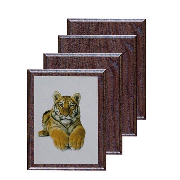 WB20 Full collor bedrukt