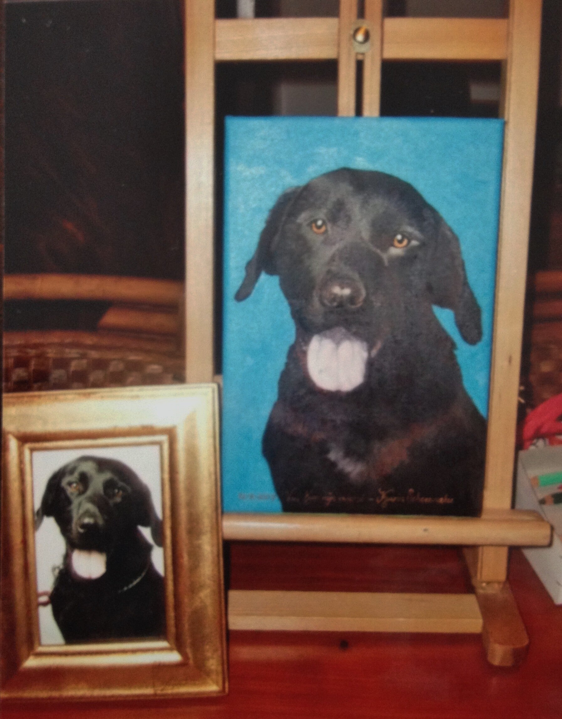 img_4179-standard-1wkgsd.jpg