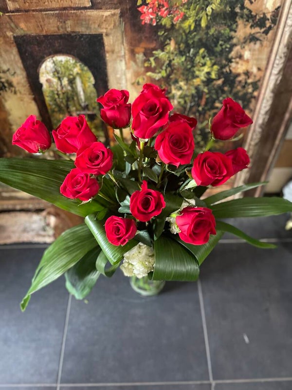 Radiant Red Roses