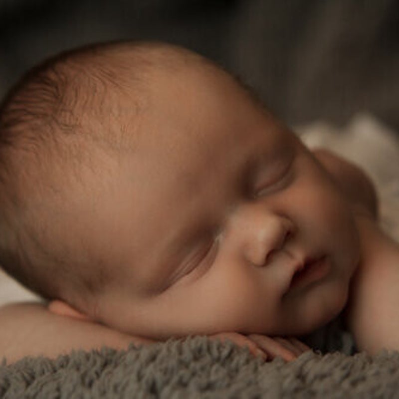 img_0311-standard.jpg