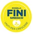 ROSSELLA FINI SINDACO