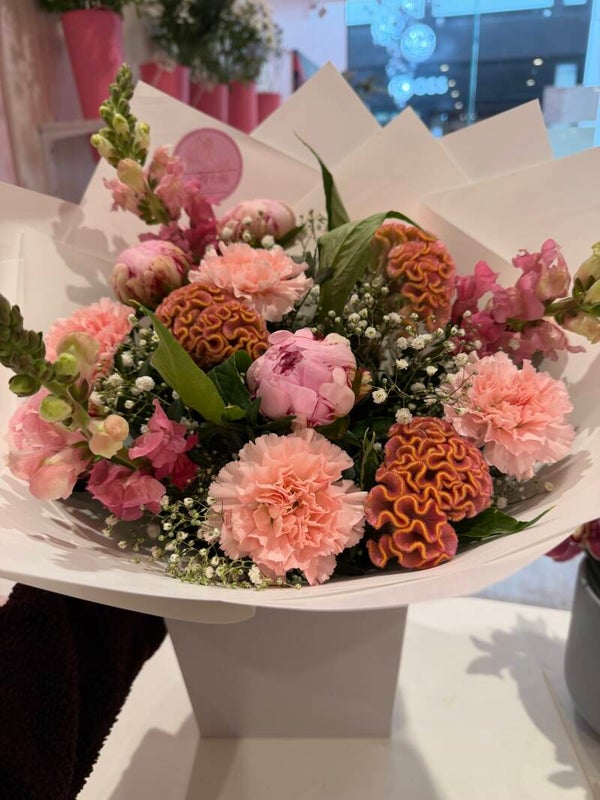 Celosia-peony