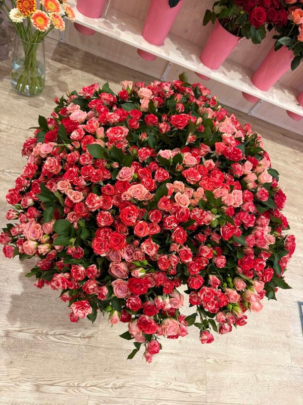 70 Spray roses