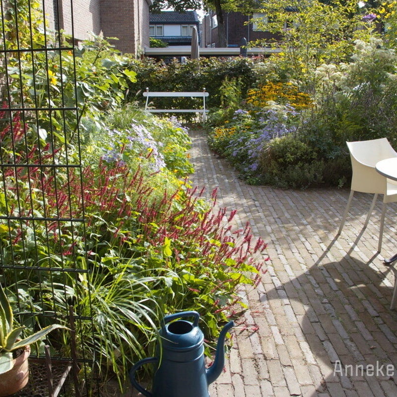 Badhuis Dudok Hilversum. Tuinontwerp en beplantingsplan Anneke Beemer