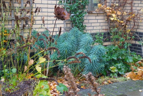 De tuin winterklaar maken, liever niet