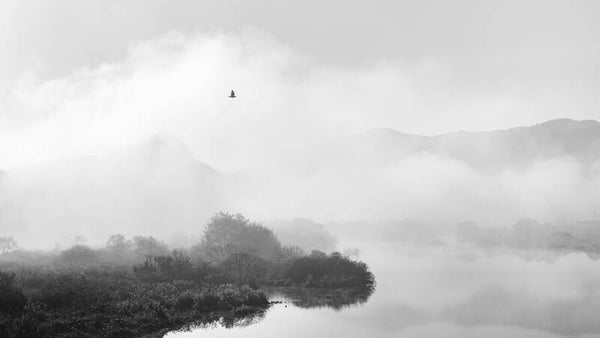 POEM OF THE RIVER II - 12