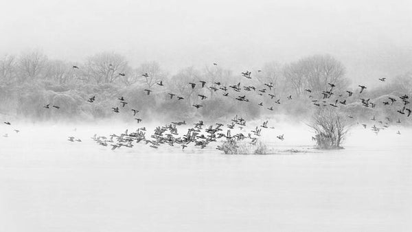 POEM OF THE RIVER - 5