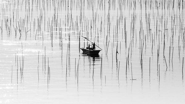 POEM OF THE SEA - 18