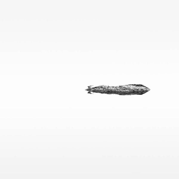 SONG OF THE BIRD - 10