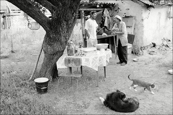 Chat in a courtyard