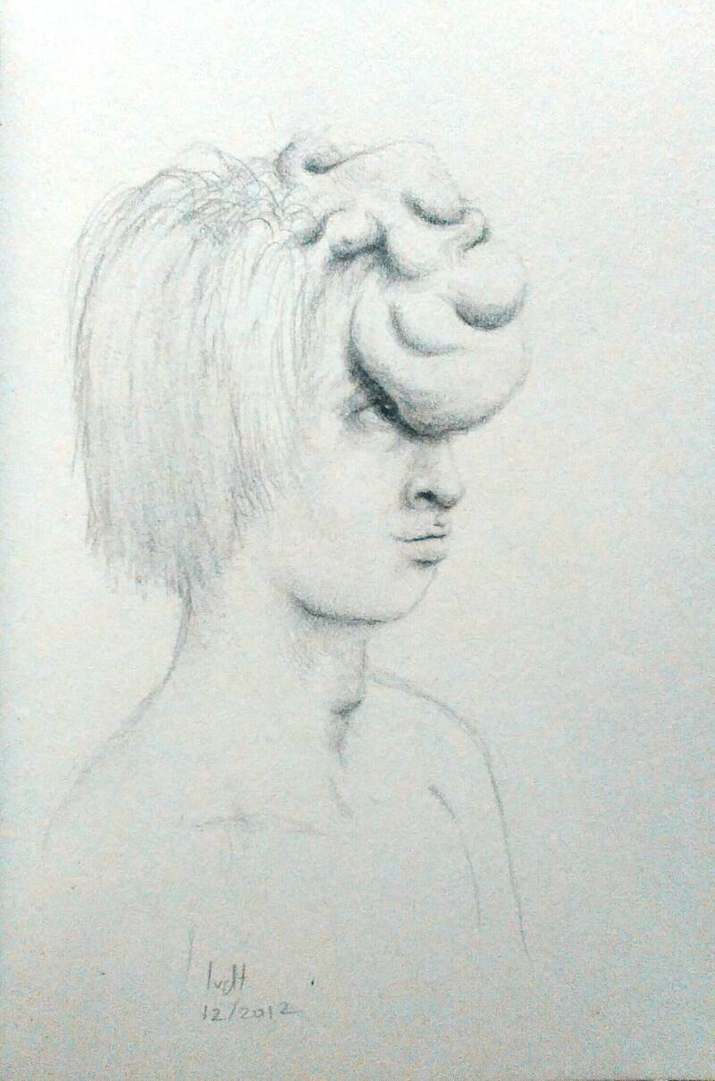 Bulthoofd / Lumpy head. Pencil on paper, 10x15 cm incl. frame, 2012.  €145