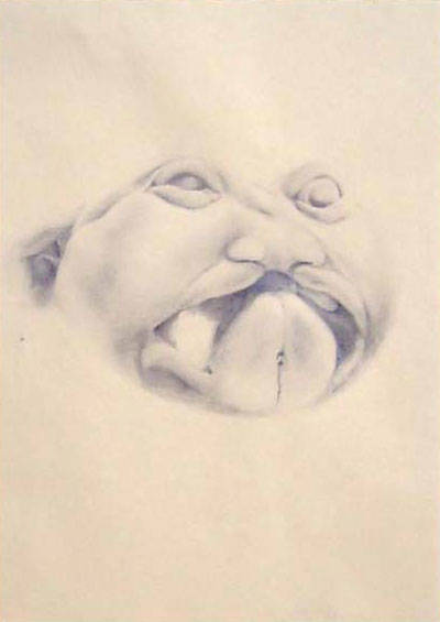 Malformation 3 Pencil on paper, 20x30 cm, 2001. (Privé bezit)