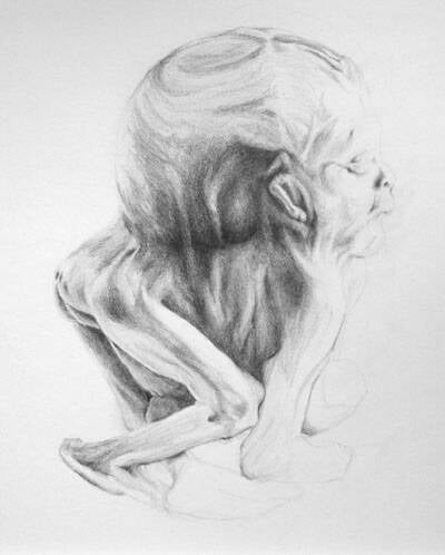 Verkorte nek en stuit / Shortened neck and rump.  Pencil on paper, 23x23 cm. incl. frame,  €230