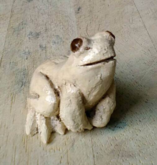 beestjes60 Frog