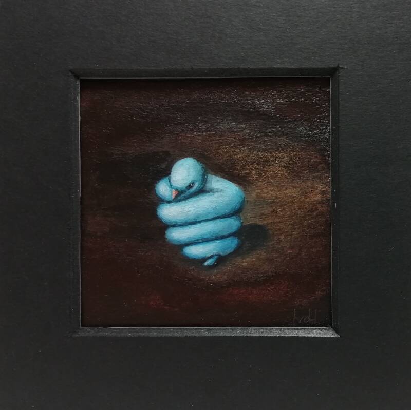 Meeuwslang / Seagull serpent 2022