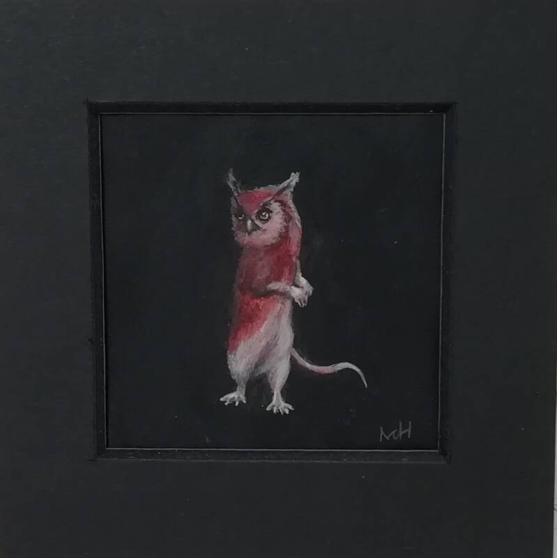 Uilmuis / Owl mouse 2018