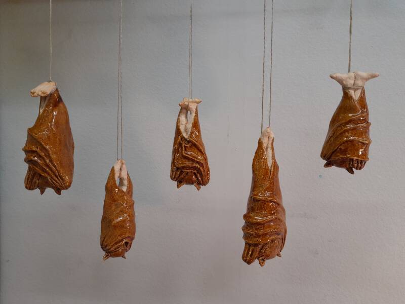 Vleermuizen hangend. (Bat hanging). Ceramics, glazing. 2026