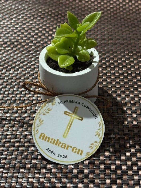 Macetitas personalizadas