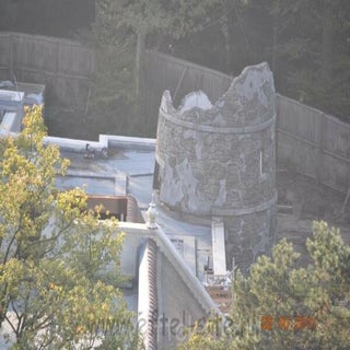 img1428032562.jpeg