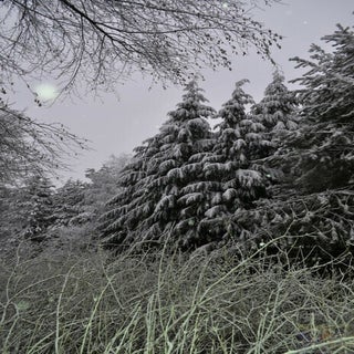 img1524932025-1.jpeg