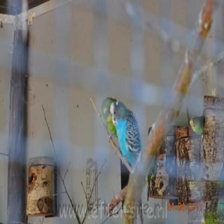 img1289141213-1.jpeg