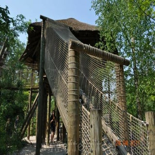 img1289141515-1.jpeg