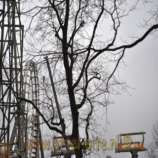 watermarked-DSC_8713.jpg