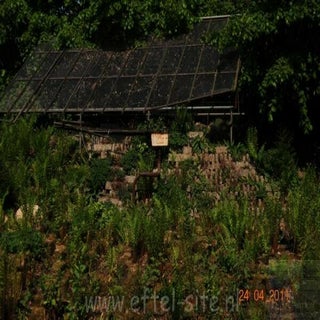 img1289141077-1.jpeg
