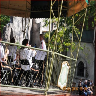 dsc_6281eftel-site-n-standard.jpg