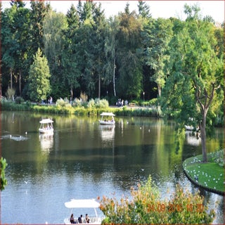 dsc_6341eftel-site-n-standard.jpg