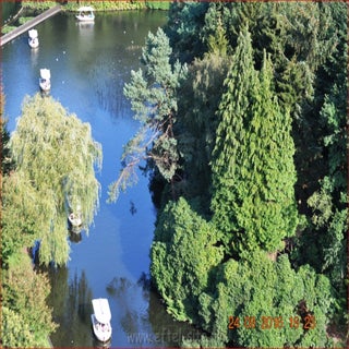 dsc_6375eftel-site-n-standard.jpg